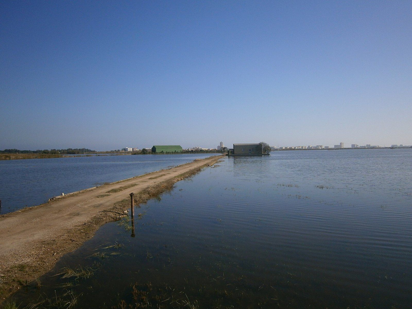 Un arrozal inundado en la Albufera de Valencia: agua quieta que refleja el cielo azul, un camino de tierra que la cruza y unas construcciones bajas al fondo.