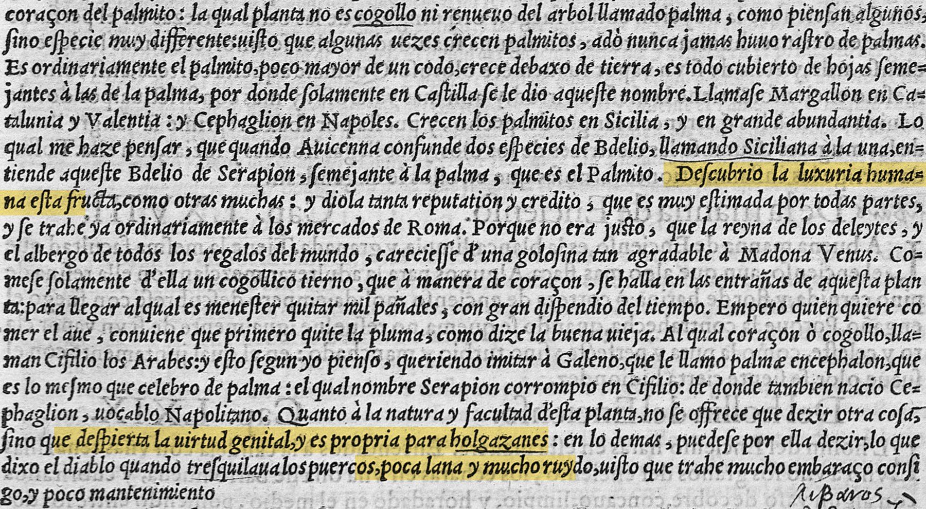 Página impresa de 1563 en letra antigua, con tres frases resaltadas en amarillo: «Descubrió la luxuria humana esta fructa», «despierta la virtud genital, y es propria para holgazanes» y «poca lana y mucho ruydo».