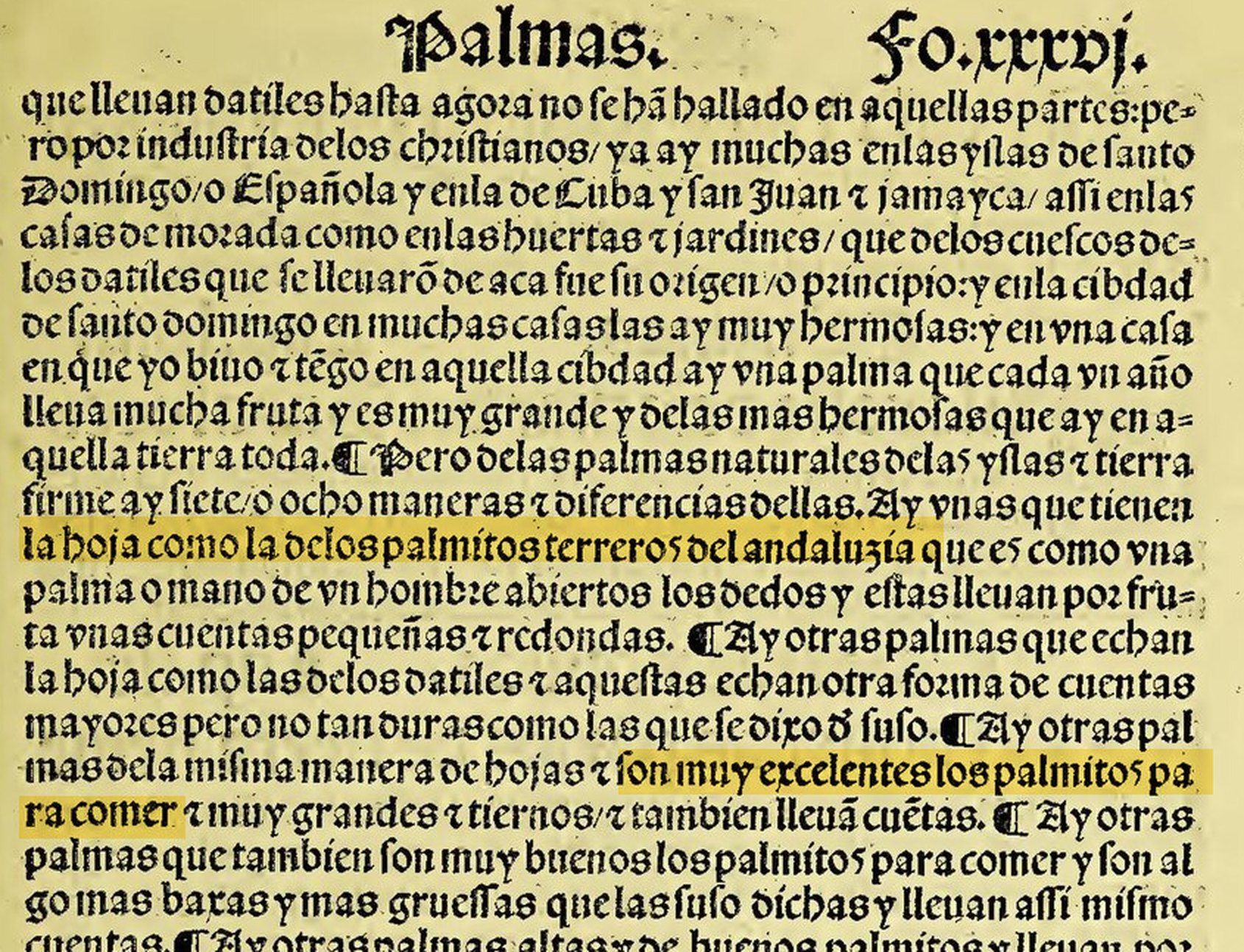 Página impresa en letra gótica de 1526 titulada «Palmas. Fo. xxxvj», con resaltado amarillo sobre «la hoja como la de los palmitos terreros del andaluzia» y «son muy excelentes los palmitos para comer».