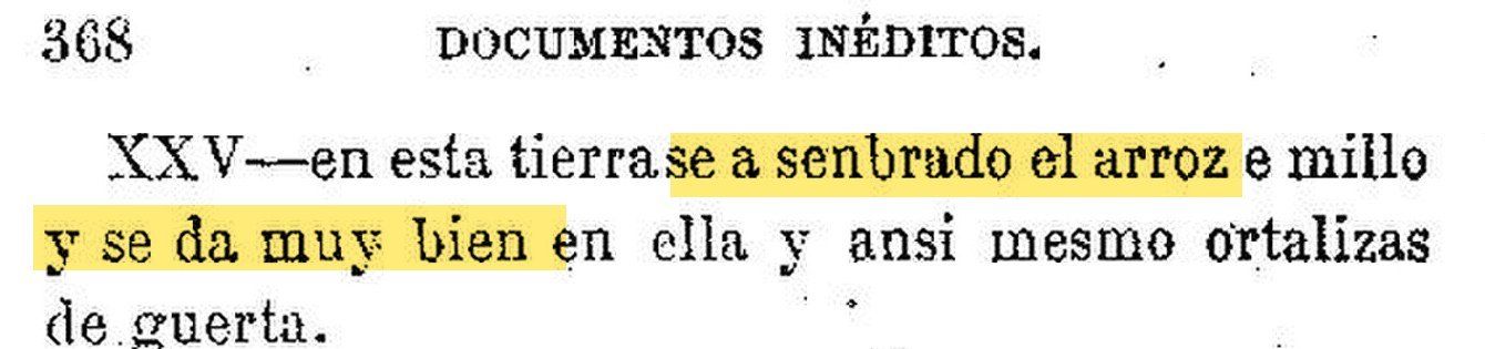 Recorte de una página impresa con la respuesta de Tabasco; resaltado en amarillo: «se a senbrado el arroz» y «se da muy bien».
